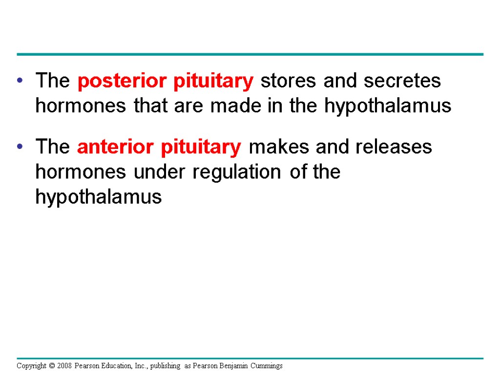 The posterior pituitary stores and secretes hormones that are made in the hypothalamus The